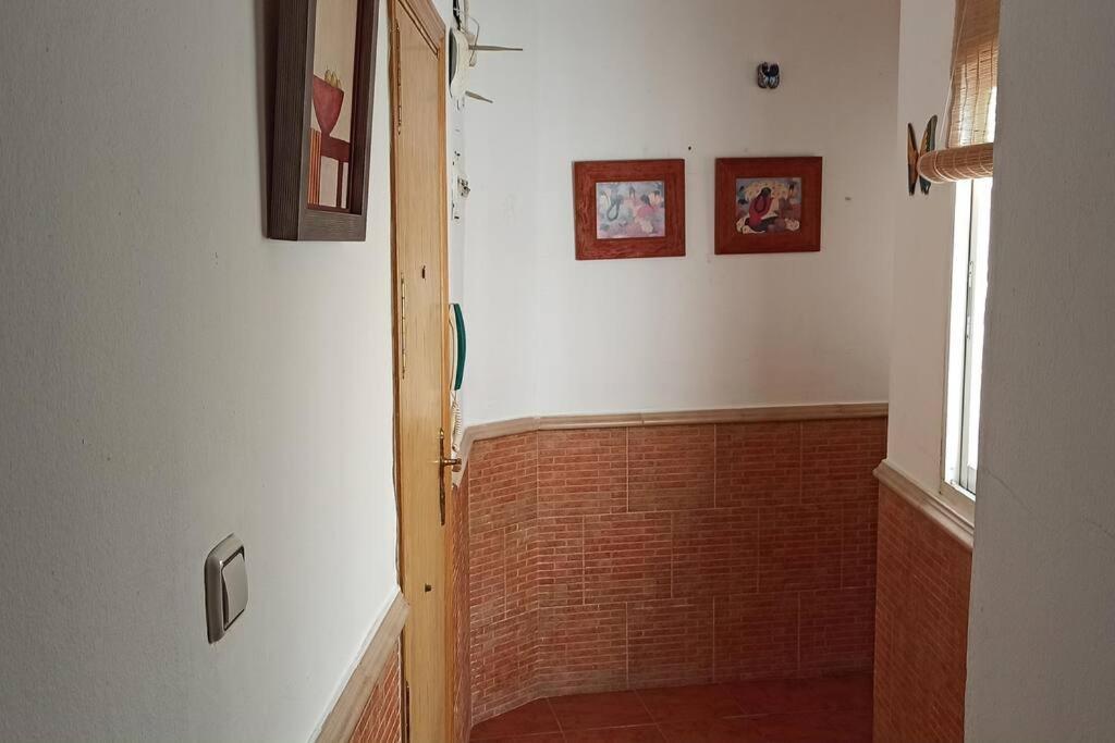 Apartamento Santa Maria 加的斯 外观 照片