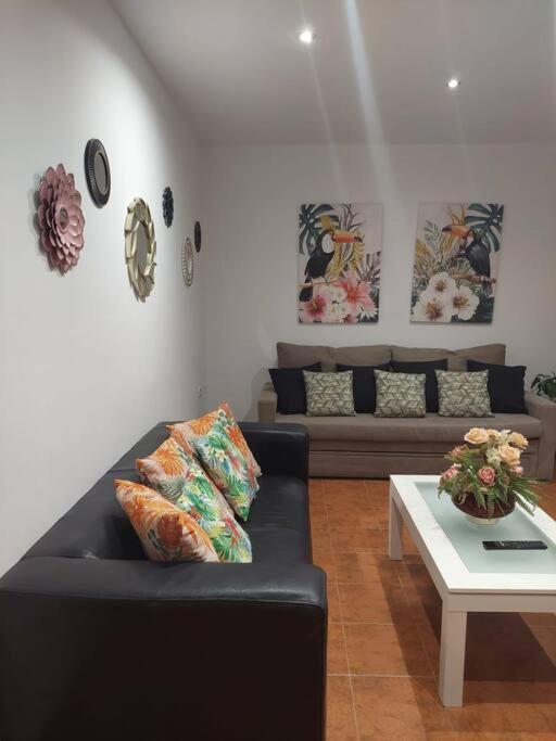 Apartamento Santa Maria 加的斯 外观 照片